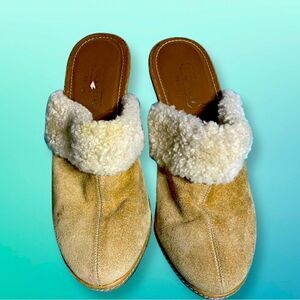 Coach - Suede Mules 